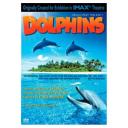 Dolphins