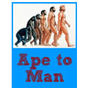 Ape to Man