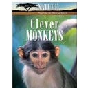 Clever Monkeys