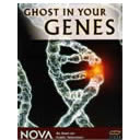 The Ghost in our Genes