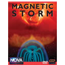 Magnetic Storm