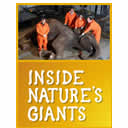 Inside Nature's Giants