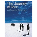 Journey of Man: A Genetic Odyssey