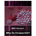 Why Do Viruses Kill?