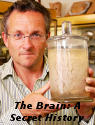 The Brain: A Secret History