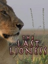 The Last Lioness