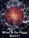 What is the Higgs Boson?