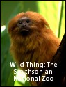 Wild Thing: The Smithsonian National Zoo