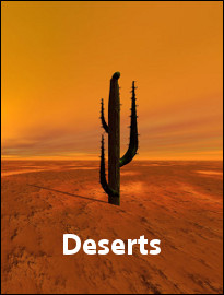 Deserts