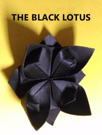 The Black Lotus